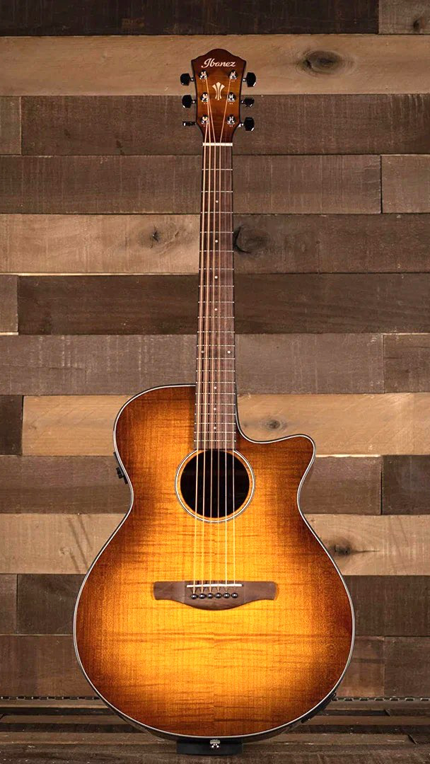 best-acoustic-electric-guitars-under-500-ibanezaeg70